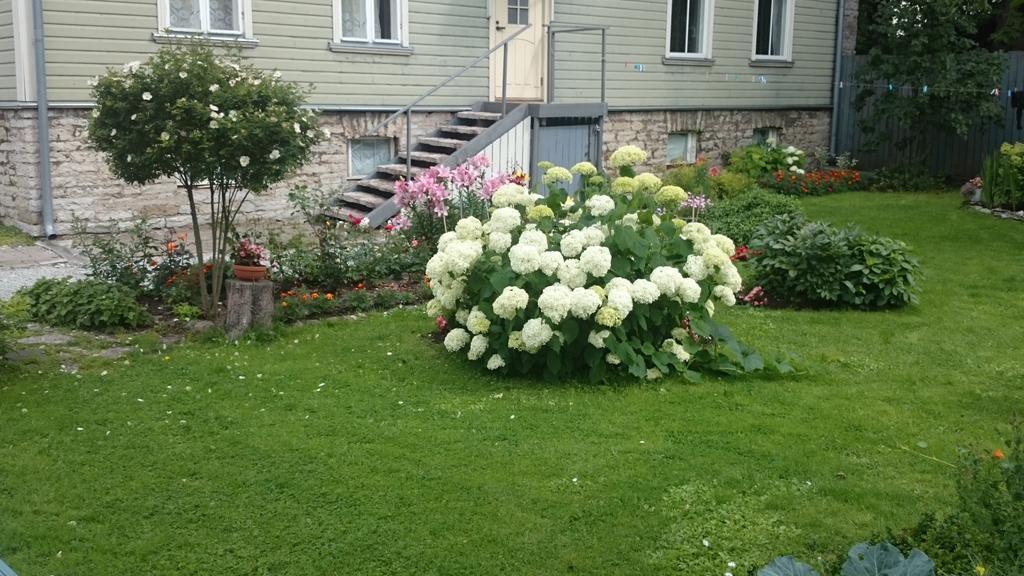 Matrix Garden Apartments Tallinn Ruang foto